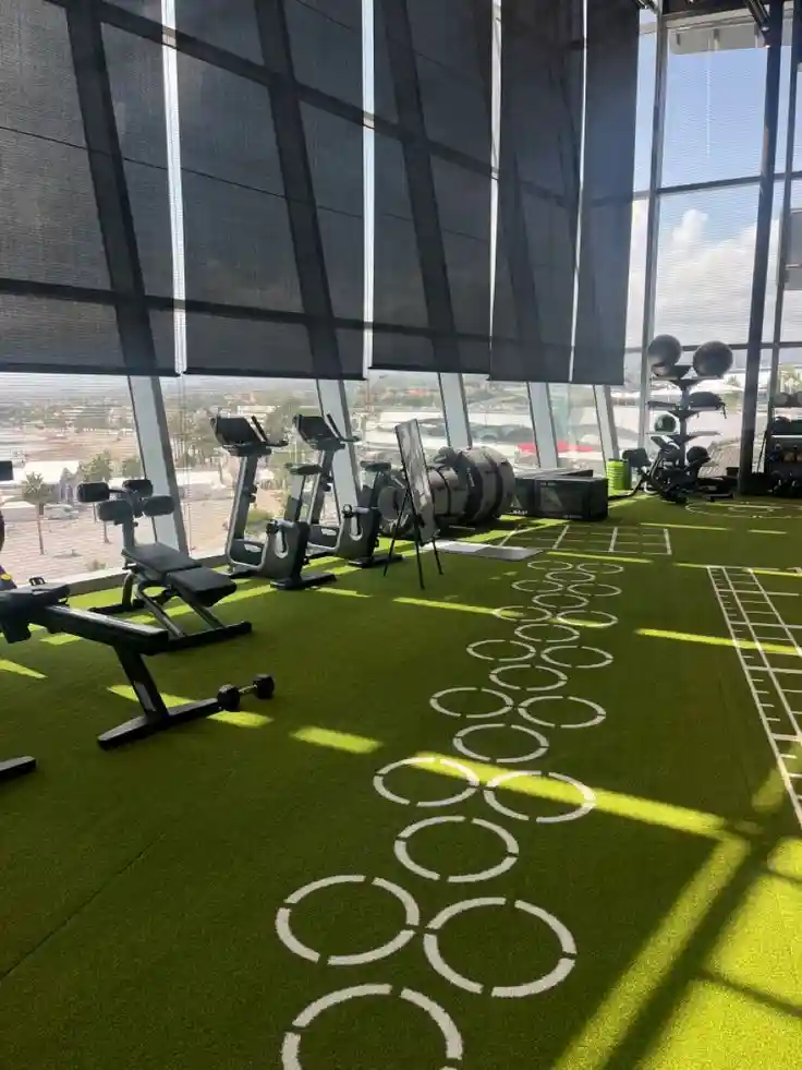Artificial Grass for Gym