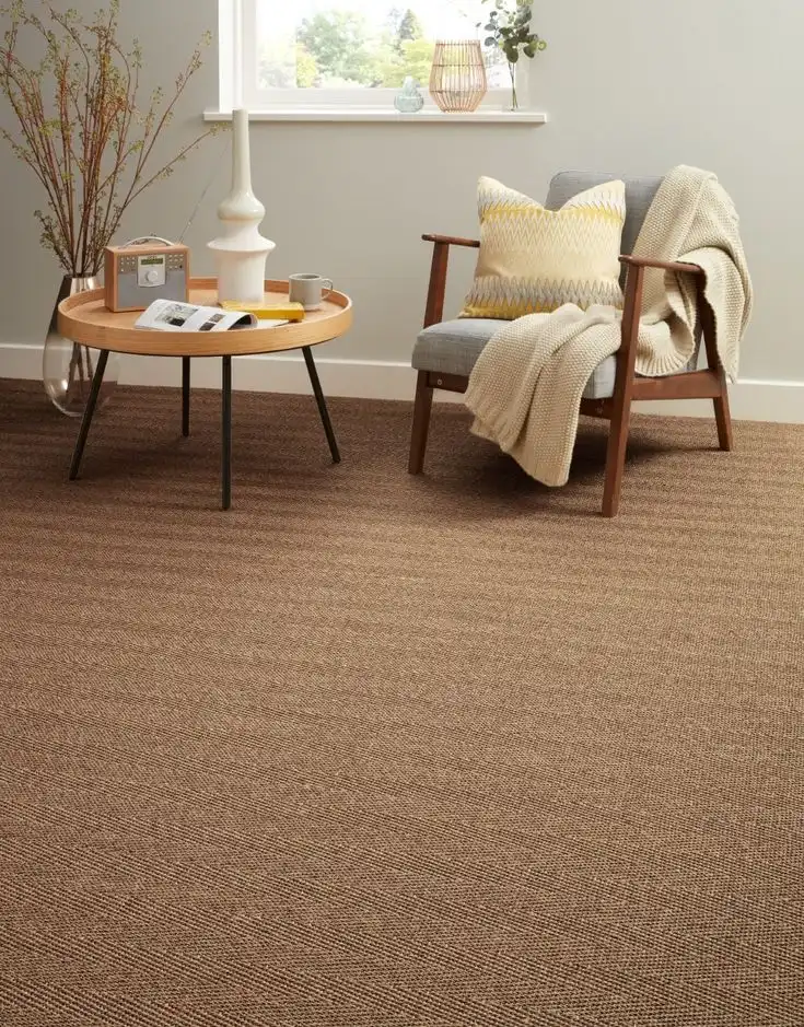 Modern Sisal Carpet in a Living Room