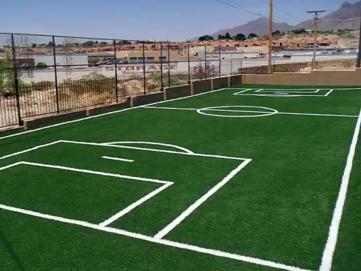 Sports
