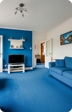 Blue Carpets Dubai