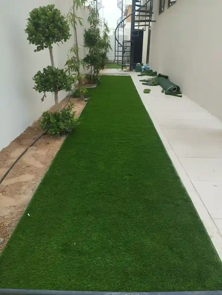 Grass Carpet in Luxury Villa