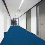 Dark Blue Paragon Codec Accent