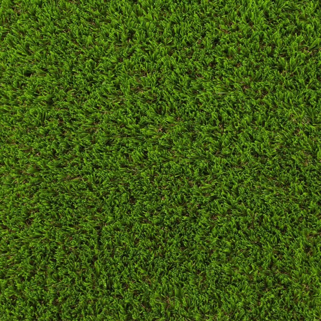 Dark Green Shelbourne 37mm