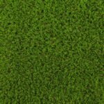 Dark Green Shelbourne 37mm
