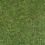 Sprucepark 25mm fresh appearance